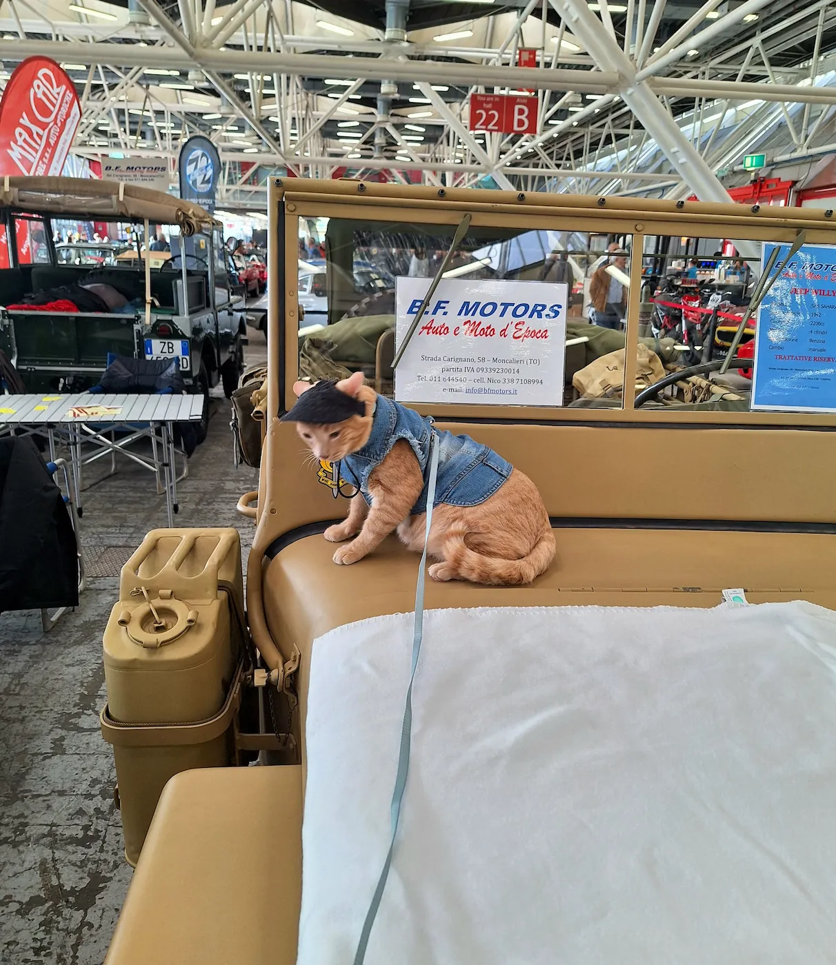 Bologna – car fair