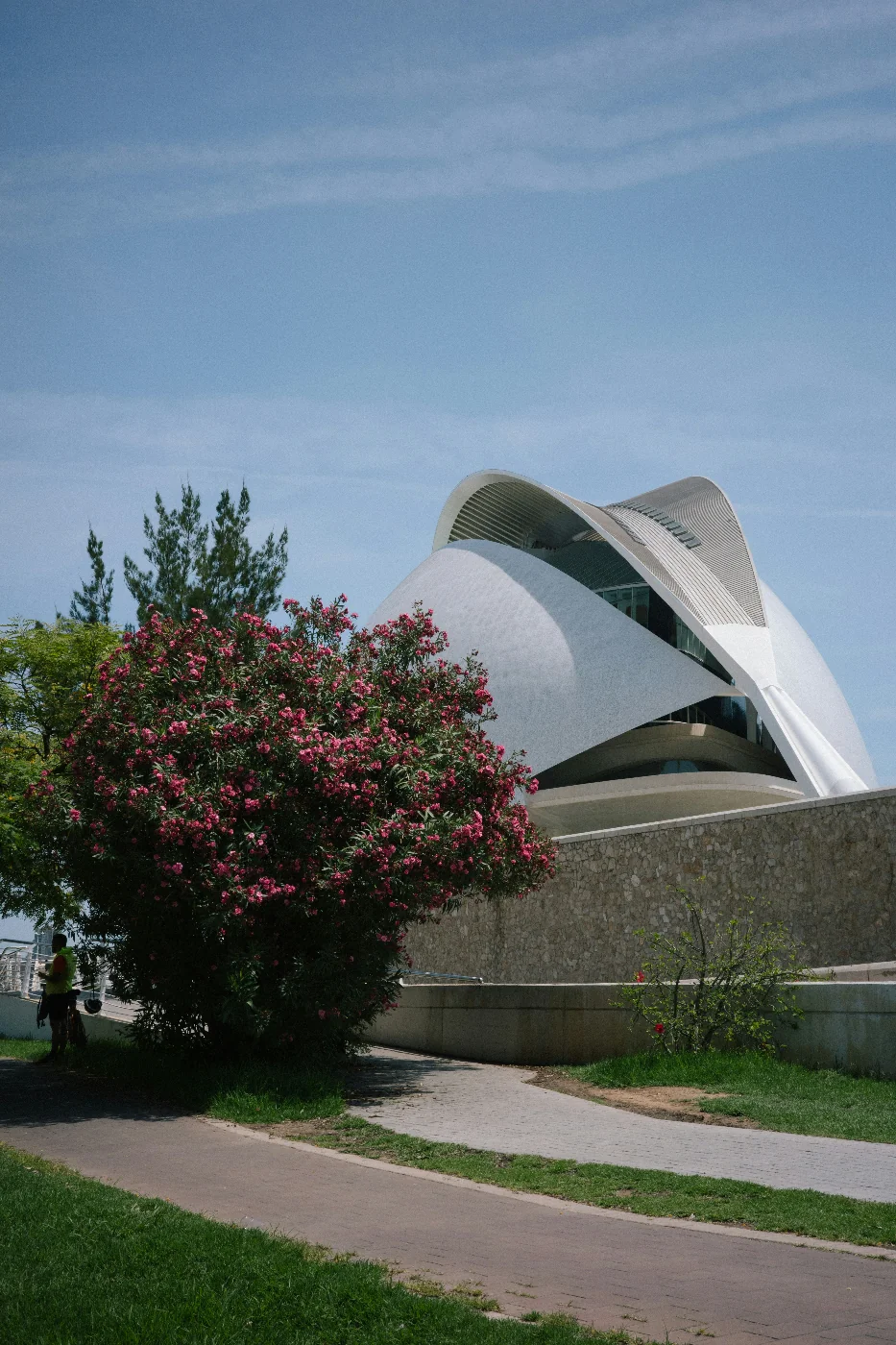 Palau de les Arts Reina Sofía